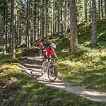 Pensión Mitterwallner 3*