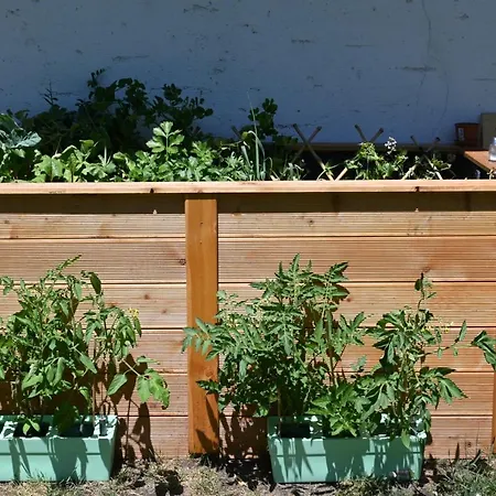 Penzion Mitterwallner 3*