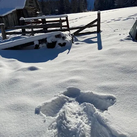 Mitterwallner Schladming