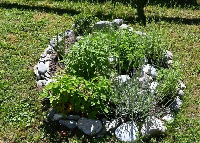 Mitterwallner 3* Шладминг