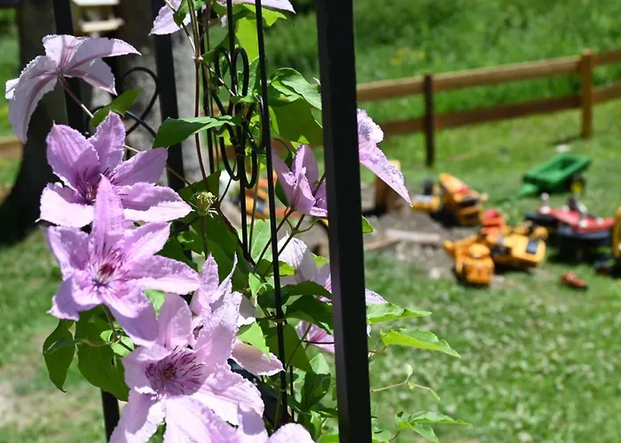 Mitterwallner Гостевой дом 3*