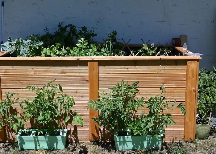 Гостевой дом Mitterwallner 3*